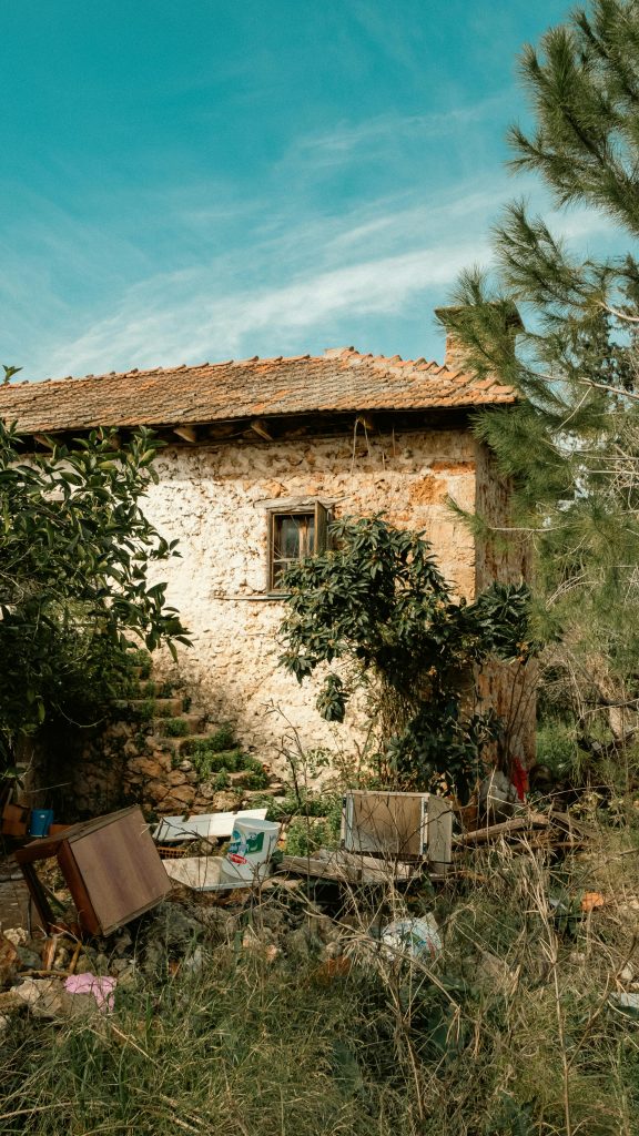 Diseño paisajístico - Jardín desordenado