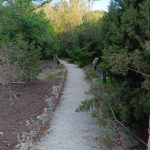 Recuperación de sendas naturales en Valencia tras lluvias intensas