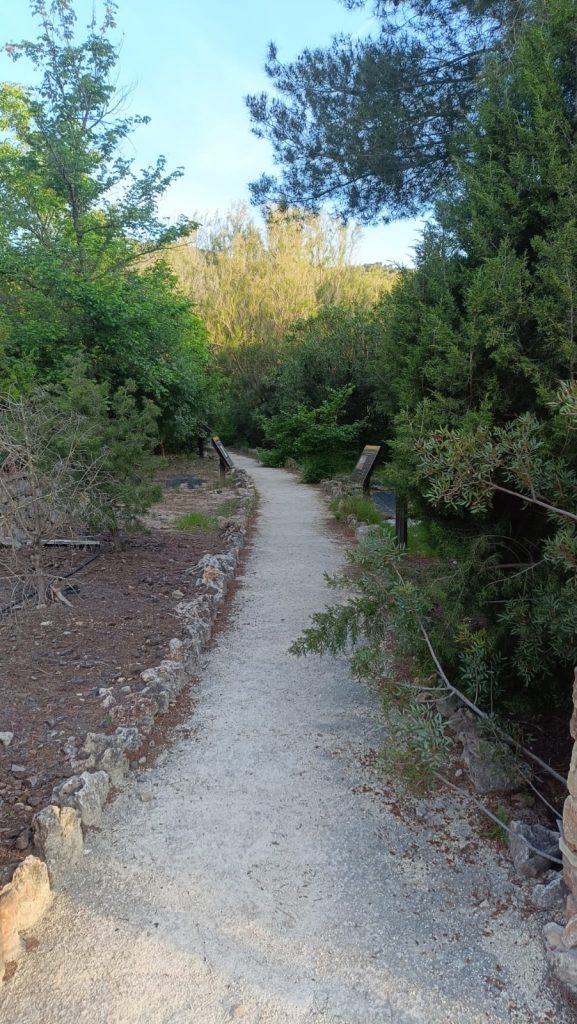 Recuperación de sendas naturales en Valencia tras lluvias intensas