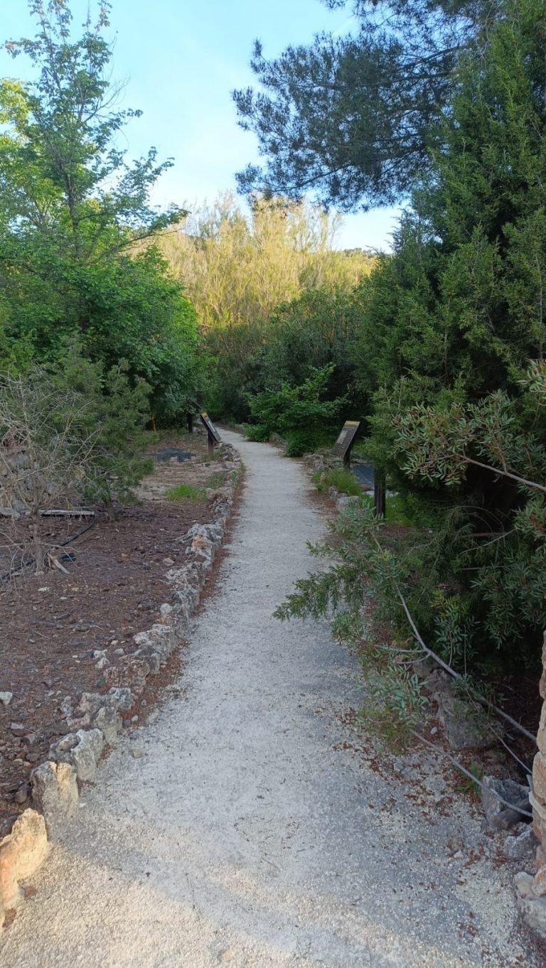 Recuperación de sendas naturales en Valencia tras lluvias intensas