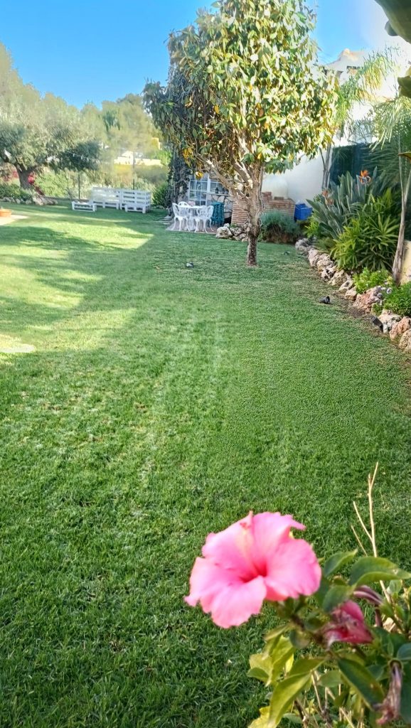 Preparar el césped para el verano